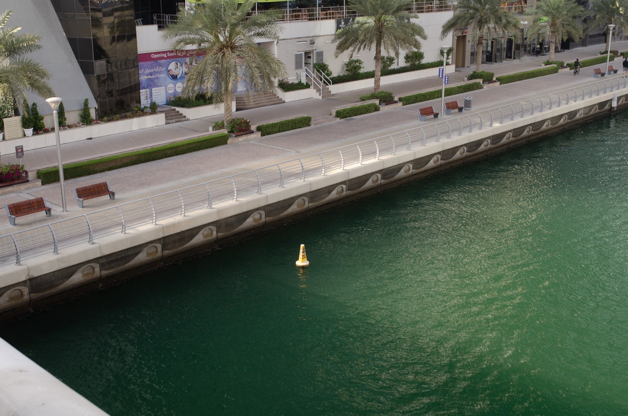 Превью Dubai 2022